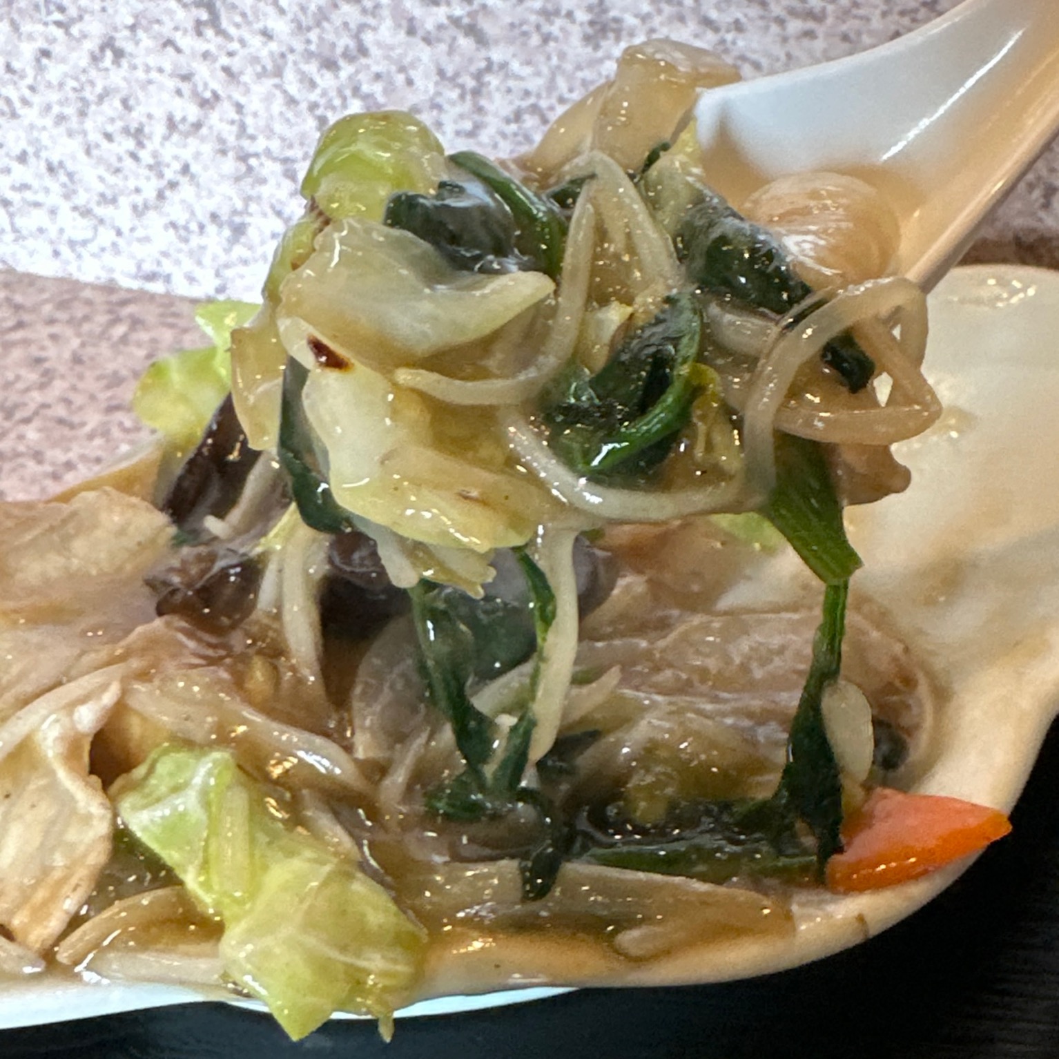 太平楽 中国料理・太平楽（たいへいらく）」さんは、長崎ちゃんぽんが旨い豊田の老舗町中華！ -